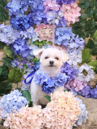 20250618うるちゃん